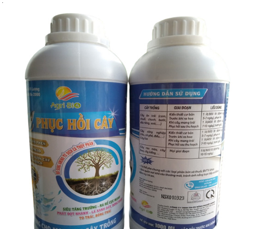 Phục Hồi Cây 